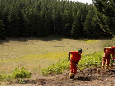У человечества закончились возобновляемые ресурсы