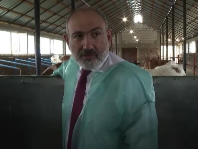Пашинян: В Саригюхе построено скотоводческое помещение стоимостью 23 млн. драмов