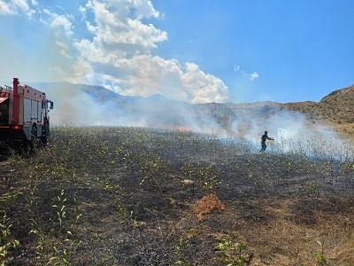 Վայոց ձորի մարզում այրվել է մոտ 4․2 հա խոտածածկույթ