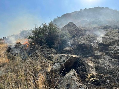 Այրվել է մոտ 30 հա խոտածածկույթ