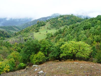 Օգոստոսին շրջակա միջավայրին պատճառվել է ավելի քան 60 մլն դրամի վնաս. Տեսչական մարմին