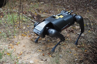 Գիտնականները մրջյունների աշխարհի ամենավտանգավոր տեսակներից մեկը ճանաչող ռոբոտ-շներ են ստեղծել