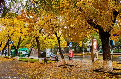 Այսօրվանից հաստատուն քայլերով գնում ենք դեպի խորը աշուն. Սուրենյան