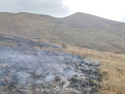 Մեղրի քաղաքի «Թաղամիր» կոչվող տարածքի մոտակա սարալանջին այրվել է մոտ 41 հա խոտածածկույթ