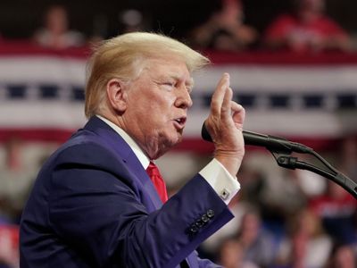 Трамп призвал всех кандидатов в президенты США сдавать когнитивные тесты