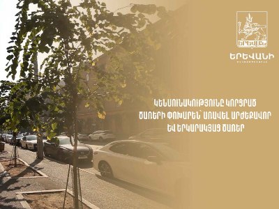 Այս տարի կենսունակությունը կորցրած կամ ձևախեղված շուրջ 250 ծառ է հեռացվել. Իսկ քանի՞սն է տնկվել (վիդեո)