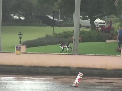 NBC: Robotic dog starts patrolling Trump's Mar-a-Lago residence