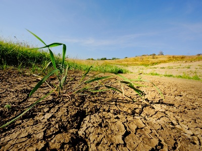 Ընդերքի դեգրադացիան սպառնում է պարենային անվտանգությանը