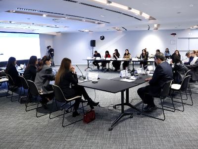 Քննարկվել են ուժի կիրառման նոր ստանդարտին վերաբերող հարցեր․ տեղի է ունեցել ԵԽ ծրագրի համակարգող խորհրդի նիստը