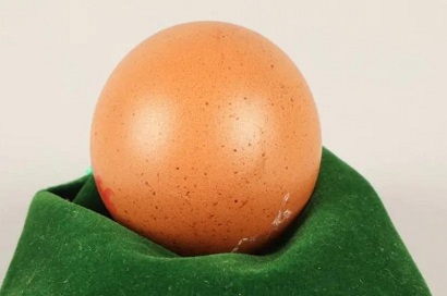 'Almost perfectly spherical' egg sells for $250 at auction