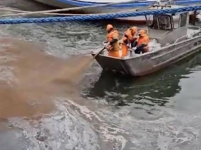 Դոն գետն է լցվել նավերի ներկանյութի լուծիչ