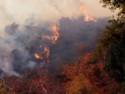 Fox: Death toll in Southern California wildfires climbs to at least 24
