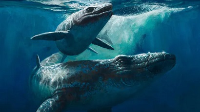 Окаменелости древнего морского чудовища, извлеченные из шахт Марокко, оказались подделкой