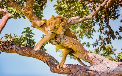 UK puts 9 more countries on its travel red list, their territory occupies about 16% of world's landmass