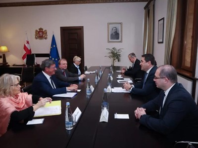 PACE sends human rights assessment mission to Georgia