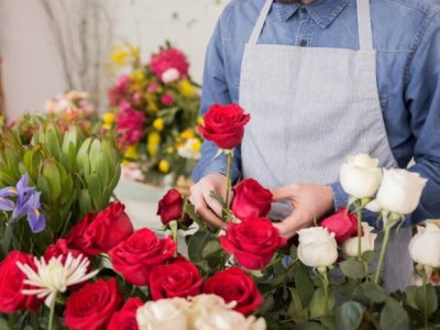 Министр экономики Армении: Объем экспорта тепличной продукции увеличился на 44 млн. долларов