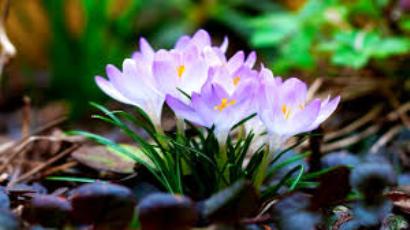 Гагик Суренян: В Ереване 6 марта у нас будет +10...+12 градусов тепла