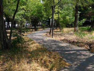 Առանց այն էլ մատների վրա հաշված այգիները չեն կարող տոտալ կառուցապատված մնալ, պետք է մաքրվեն. Ավինյան