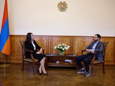 Մի շարք հանցատեսակների տենդենցները շարունակում են մնալ մտահոգիչ. ՆԳ նախարար