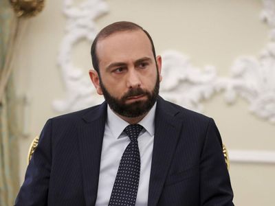 Հետաքրքրված ենք հնդկական պաշտպանական սարքավորումների գնմամբ, բայց մտադիր չենք դրանք կիրառել 3-րդ կողմի դեմ. Միրզոյան