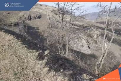 Մովսես և Չորաթան գյուղերի մոտակայքում կանխվել է հրդեհի տարածումը դեպի հարակից անտառ