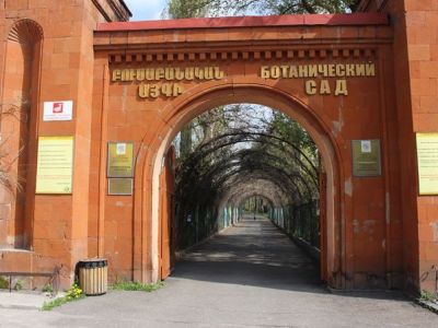 Ե՞րբ են հատվել Բուսաբանական այգու կաղնիները. պարզաբանում է տնօրենությունը