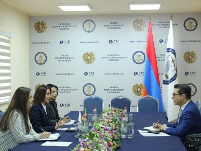 ՄԻՊ աշխատակազմի գլխավոր քարտուղարը Բրազիլիայի դեսպանին է ներկայացրել Պաշտպանի լիազորությունների շրջանակը