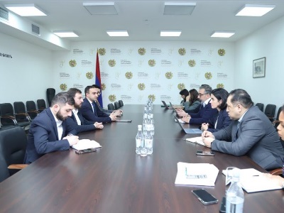 Միջազգային գործընկերների հետ քննարկվել է սնանկության ոլորտում իրականացվող բարեփոխումների ընթացքը