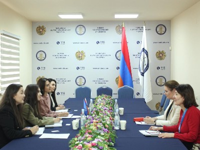 Նինա Փիրումյանը Լիվ Ֆեիյենին ներկայացրել է ԼՂ-ից բռնի տեղահանվածների իրավունքների պաշտպանության հարցերը