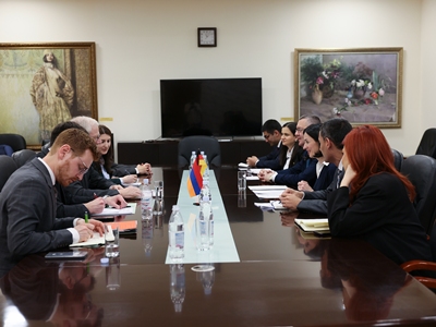 Քննարկվել են Հայաստանի և Գերմանիայի միջև համագործակցության հեռանկարները կրթության և մշակույթի ոլորտում