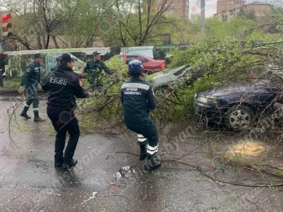 Նոր Նորքում ծառը պոկվել և ընկել է կայանված մեքենաների վրա. shamshyan.com