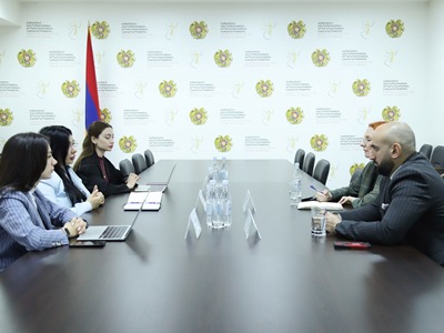 Արդարադատության փոխնախարարը կարևորել է մարդու իրավունքների պաշտպանության ոլորտում ծրագրերի իրականացումը
