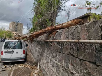 Ահարոնյան փողոցում չորացած ծառը կոտրվել և ընկել է պարսպի տակ կայանված «Volkswagen»-ի վրա
