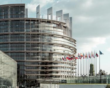 Սեփականության իրավունքի պաշտպանության ՄԻԵԴ վճիռները՝ Բուլղարիայի և ՀՀ-ի դատական պրակտիկայի ֆոնին. «Լույս» հիմնադրամ