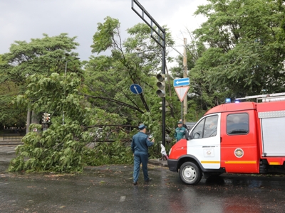 Քամու հետևանքով գրանցվել է արտակարգ 57 դեպք. Փրկարարներն արձագանքել են բոլոր ահազանգերին