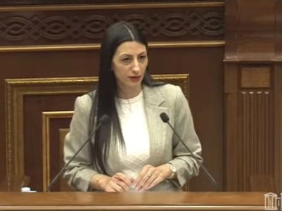 Վատ վերաբերմունքը կապ չունի այն բանի հետ, թե անձն ինչ արարք է կատարել. ՀՀ ՄԻՊ-ը՝ լրագրող Լիլիթ Աղեկյանի մասին