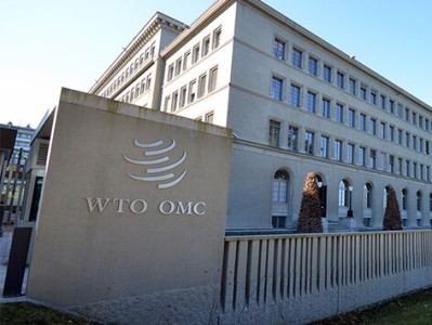 World Trade Organization chief: Global free trade is in crisis