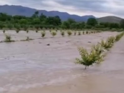 Հորդառատ անձրևի հետևանքով Արարատի մարզի մի քանի գյուղում այգիները հեղեղվել են