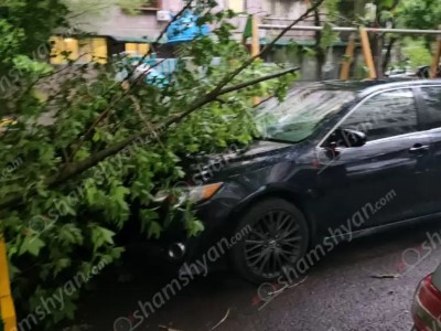 Երևանում ուժեղ քամու հետևանքով ծառի ճյուղը պոկվել և ընկել է կայանված «Toyota Camry»-ի վրա․ shamshyan.com