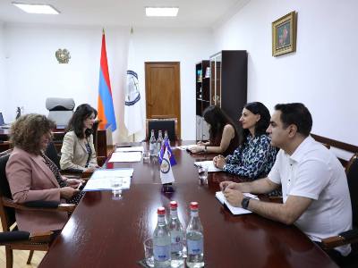 Անահիտ Մանասյանը բարձր է գնահատել ԵԽ-ի հետ ձևավորված արդյունավետ համագործակցությունը