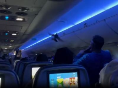 American Airlines-ի ինքնաթիռը աղավնիների ներթափանցման պատճառով խառնաշփոթի մեջ է հայտնվել