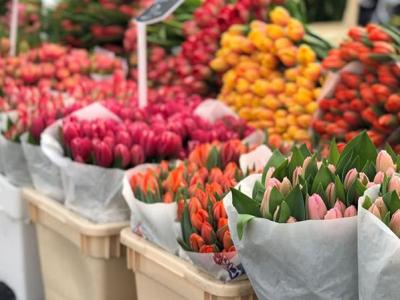 10 հազար 300 հարյուր ծաղիկ մուտք է գործել վրացական շուկա, Հայաստան է վերադարձվել միայն 700-ը. ՍԱՏՄ