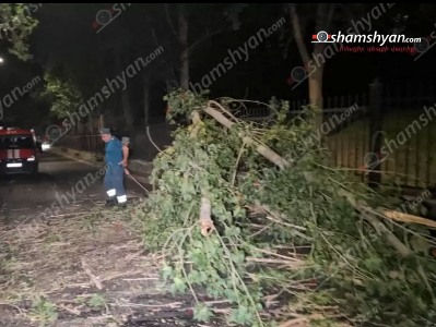 Երևանում «Մոնտե Քրիստո» ռեստորանի մոտ հսկայական բարդին տապալվել և ամբողջությամբ փակել է ճանապարհը