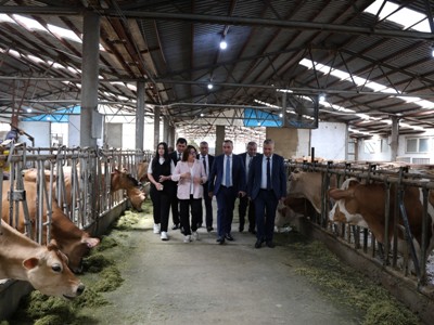 ՍԱՏՄ ղեկավարը մեկնել է Տավուշի մարզ՝ սննդամթերքի անվտանգության վերահսկողության աշխատանքներին ծանոթանալու նպատակով