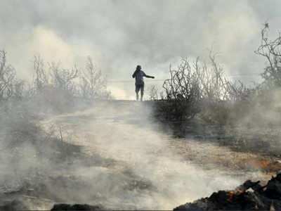 Forest fire in Cyprus: two people killed