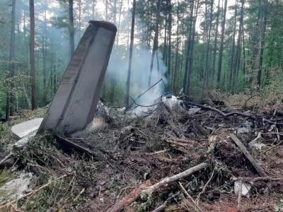 TASS: Airline and airport searches are underway after An-24 plane crash