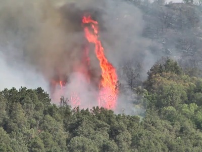 A wildfire broke out in the Khosrov Forest State Reserve