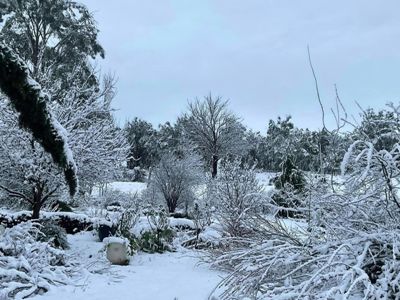 Reuters: Record snowfall hits eastern Australia