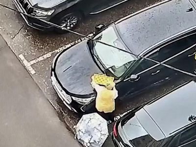 Федеральная служба безопасности России раскрыла подробности убийства Армена Саркисяна