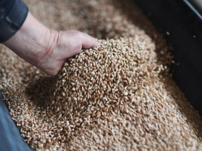 Россия нарастила в Армению объемы поставок продукции агропромышленного комплекса